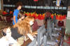 DSC02888.computers and video games90588 Los Angeles Summer Camp)