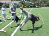 DSC00468.jpg (133369 Los Angeles Summer Camp)